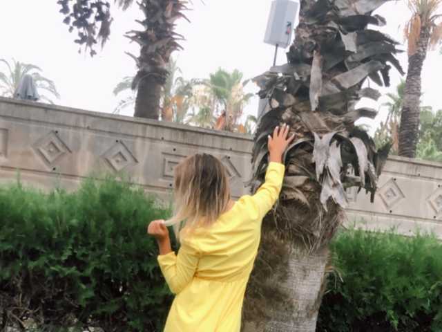 Profilin fotoğrafı AAVARIYA