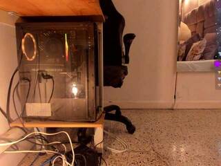 Erotik görüntülü sohbet amina-west