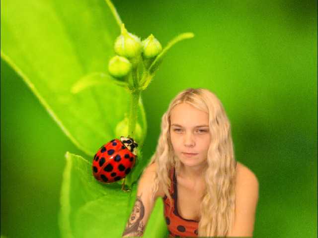 Fotoğraflar AnnaHappy18 ...the story of the lonely ladybug.