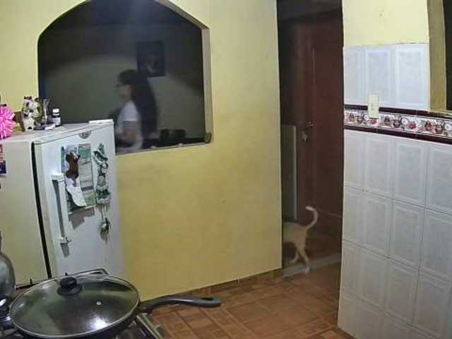 Yayın ekran görüntüleri anyqueen