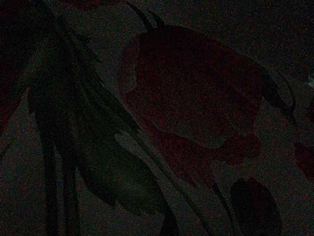 Yayın ekran görüntüleri Rosalia_____