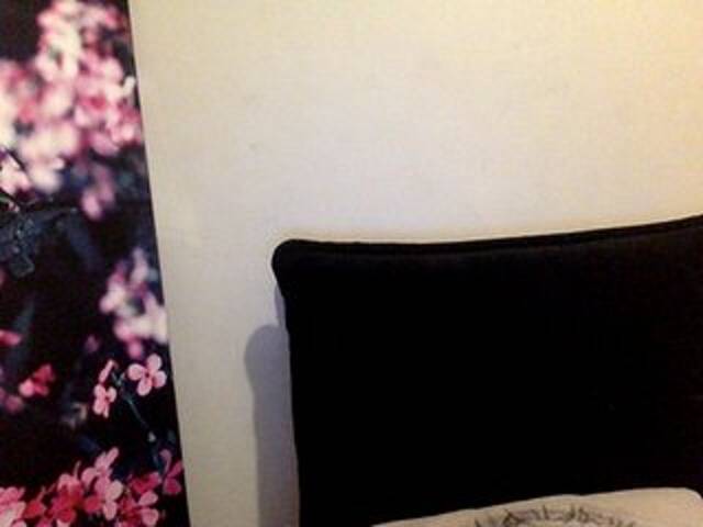 Yayın ekran görüntüleri asi4ndoll