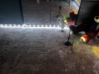 Erotik görüntülü sohbet -KOCMOC-13