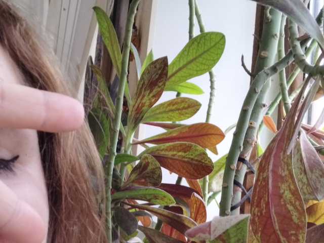 Profilin fotoğrafı Crazycouple8