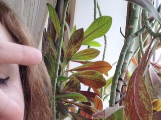 Erotik görüntülü sohbet Crazycouple8