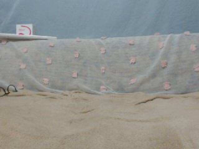 Yayın ekran görüntüleri DonnaWildJoyy