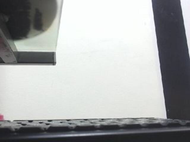 Yayın ekran görüntüleri Dulceik