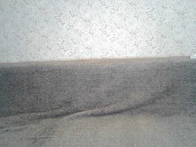 Yayın ekran görüntüleri ElegantBlonda