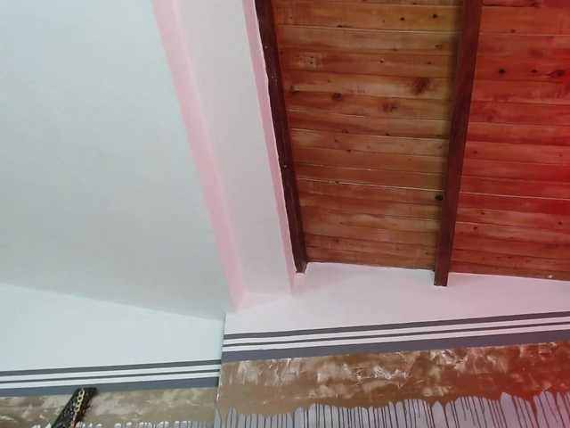 Yayın ekran görüntüleri flexylive