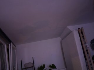 Erotik görüntülü sohbet Flora8845