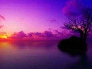 Erotik görüntülü sohbet florabella