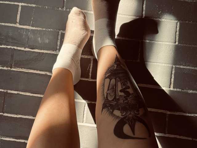 Profilin fotoğrafı Fox-Paws