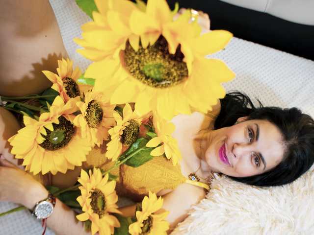 Profilin fotoğrafı girasol-walto