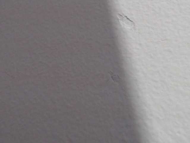 Yayın ekran görüntüleri Katithompson