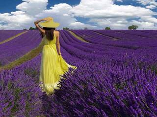 Erotik görüntülü sohbet La-Rosa-Coque