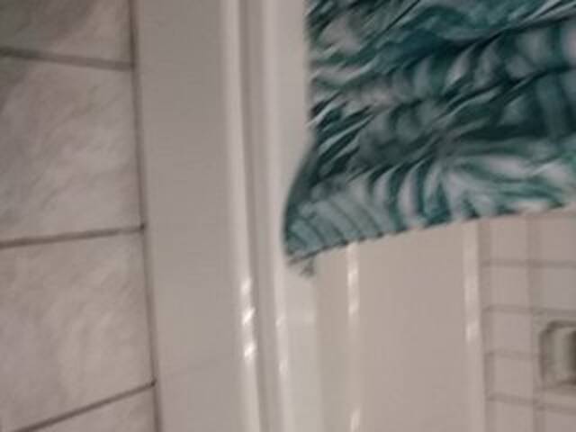 Yayın ekran görüntüleri Maeishowu