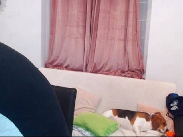 Yayın ekran görüntüleri MaxGACouple