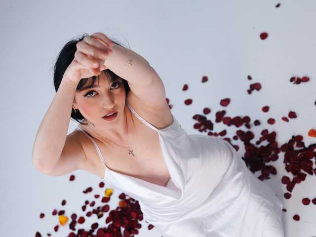 Profilin fotoğrafı Midnight_Eva_Mi