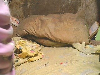 Erotik görüntülü sohbet NaughtyWetPieXx