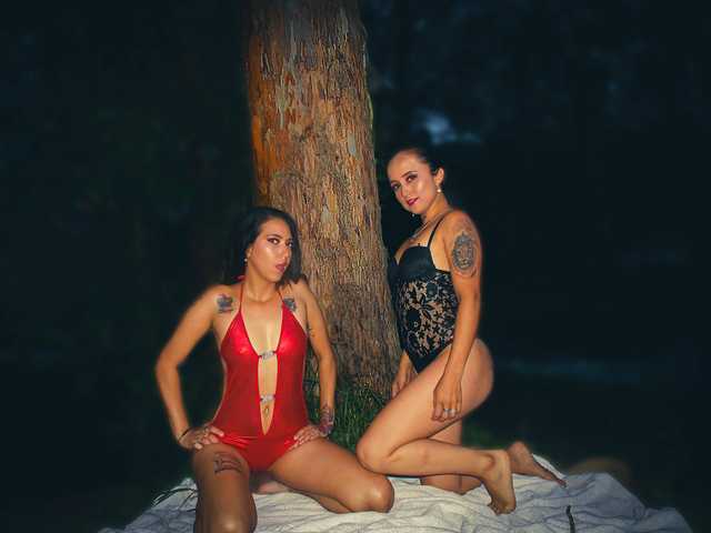 Profilin fotoğrafı nayarascarlet