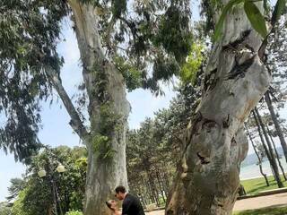 Erotik görüntülü sohbet PUPI-DEL-REY