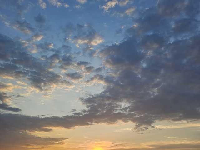 Profilin fotoğrafı onehumanbeing