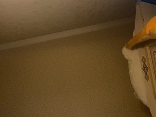 Erotik görüntülü sohbet senxual-