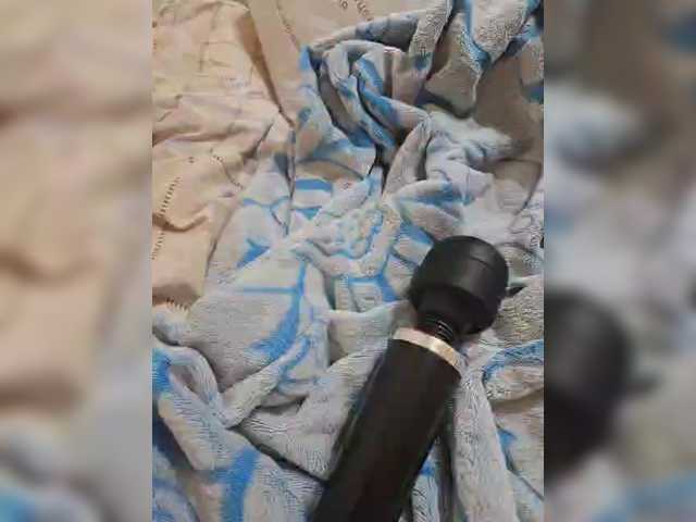 Yayın ekran görüntüleri small-cat