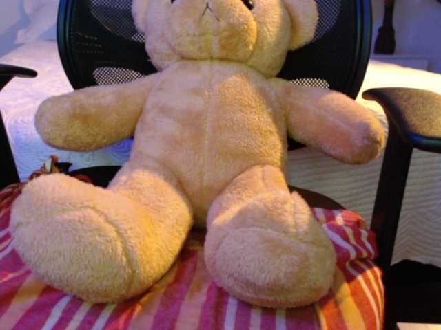 Yayın ekran görüntüleri SofiaZapata