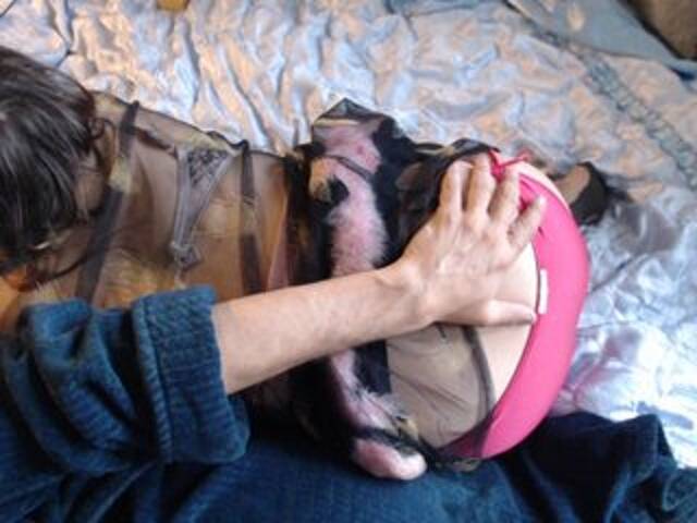 Yayın ekran görüntüleri Masha_Ivanova