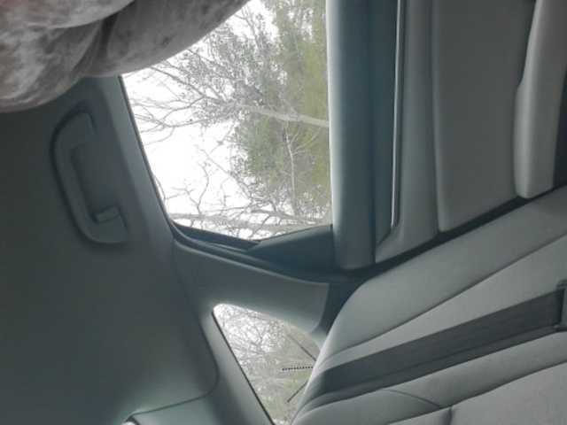 Yayın ekran görüntüleri Sugarisme