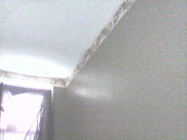 Yayın ekran görüntüleri supa19kitty