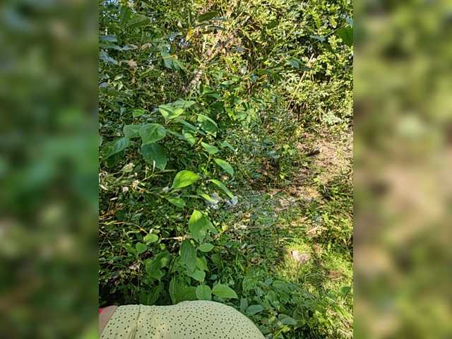 Yayın ekran görüntüleri AliceWarren