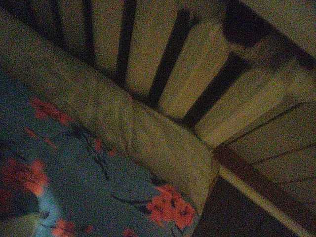 Yayın ekran görüntüleri Twinssss