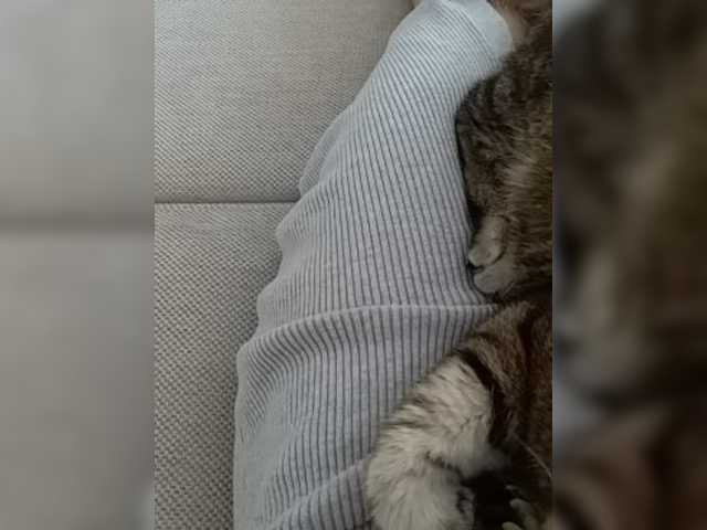 Yayın ekran görüntüleri GolayaPravda