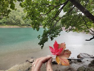 Erotik görüntülü sohbet _GoodGirl_