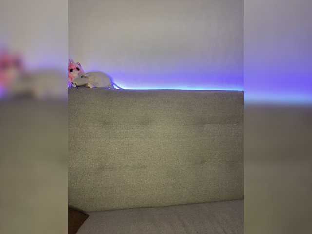 Yayın ekran görüntüleri Wulka