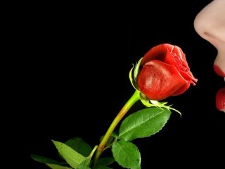 Profilin fotoğrafı xxsweetlady